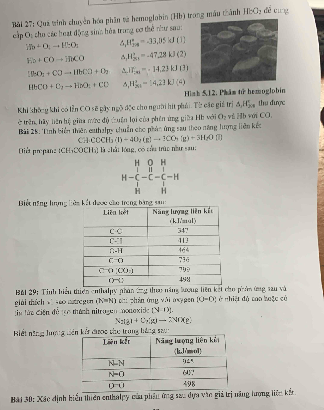 Quá trình chuyển hóa phân tử hemoglobin (Hb) trong máu thành HbO_2 dề cung
cấp O_2 cho các hoạt động sinh hóa trong cơ thể như sau:
Hb+O_2to HbO_2^((H_298)^o)=-33,05kJ (1)
Hb+COto HbCO
△ _rH_(298)^o=-47,28kJ 1 2)
HbO_2+COto HbCO+O_2 △ _rH_(298)^o=-14,23kJ(3)
HbCO+O_2to HbO_2+CO △ _rH_(298)^o=14,23kJ(4)
Hình 5.12. Phân tử hemoglobin
Khi không khí có lẫn CO sẽ gây ngộ độc cho người hít phải. Từ các giá trị △ _rH_(298)^o thu được
ở trên, hãy liên hệ giữa mức độ thuận lợi của phản ứng giữa Hb với O_2 và Hb với CO.
Bài 28: Tính biến thiên enthalpy chuẩn cho phản ứng sau theo năng lượng liên kết
CH_3COCH_3(l)+4O_2(g)to 3CO_2(g)+3H_2O(l)
Biết propane (CH₃COCH₃) là chất lỏng, có cấu trúc như sau:
H 0 u
beginarrayr H-C-c-C H&C-beginarrayr H c-c-1 Hendarray
Biết năng lượng liên kết được cho trong bảng sau:
Bài 29: Tính biến thiên enthalpy phản ứng theo năng lượng liên kết cho phản ứng sau và
giải thích vì sao nitrogen (Nequiv N) chỉ phản ứng với oxygen (O=O) ở nhiệt độ cao hoặc có
tia lửa điện để tạo thành nitrogen monoxide (N=O).
N_2(g)+O_2(g)to 2NO(g)
Biết năng lượng liên kết được cho trong bảng sau:
Bài 30: Xác định biến thiên enthalpy của phản ứng sau dựa vào giá trng lượng liên kết.