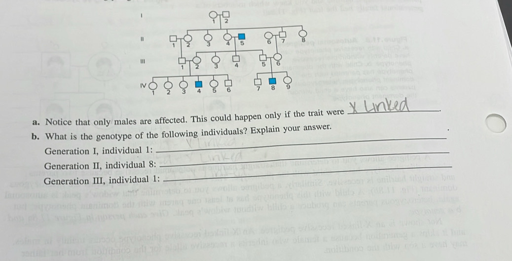 Notice that only males are affected. This could happen only if the trait were 
_ 
b. What is the genotype of the following individuals? Explain your answer. 
Generation I, individual 1:_ 
_ 
Generation II, individual 8:_ 
Generation III, individual 1: