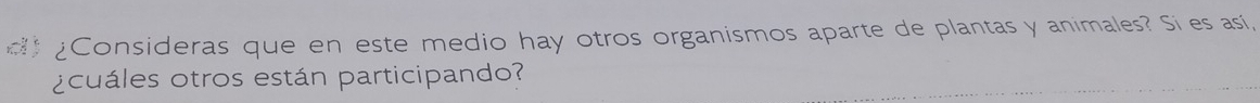 ¿Consideras que en este medio hay otros organismos aparte de plantas y animales? Si es así, 
¿ cuáles otros están participando?