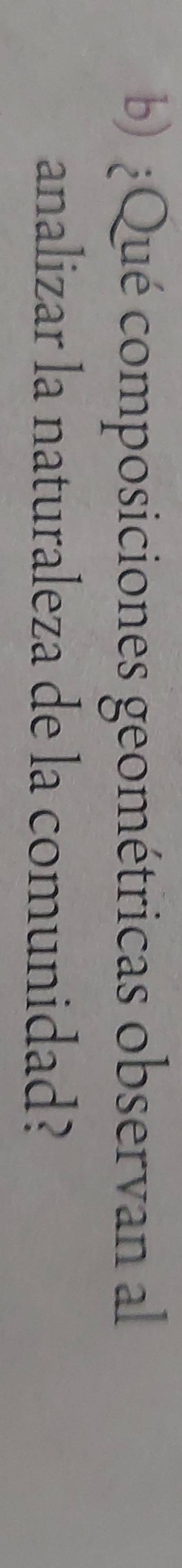 ¿Qué composiciones geométricas observan al 
analizar la naturaleza de la comunidad?