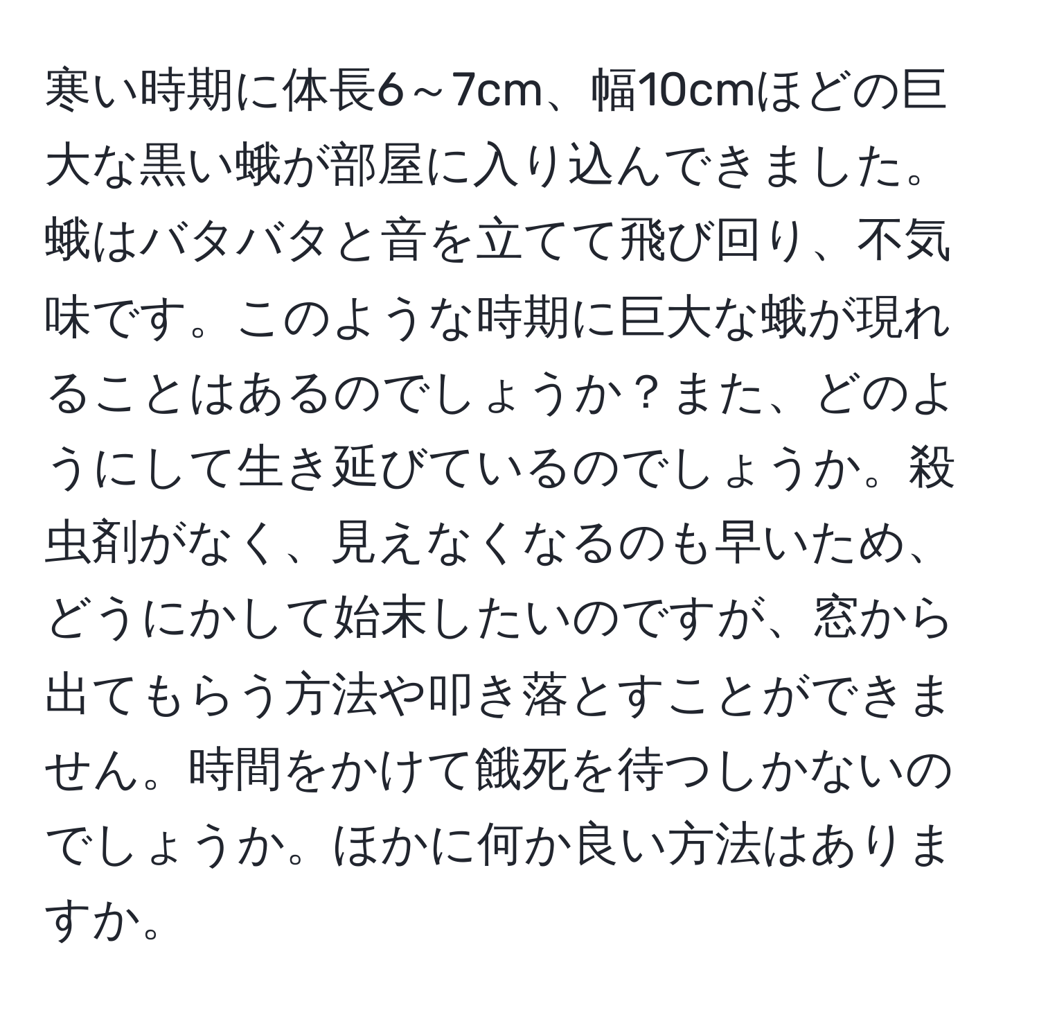 寒い時期に体長6～7cm、幅10cmほどの巨大な黒い蛾が部屋に入り込んできました。蛾はバタバタと音を立てて飛び回り、不気味です。このような時期に巨大な蛾が現れることはあるのでしょうか？また、どのようにして生き延びているのでしょうか。殺虫剤がなく、見えなくなるのも早いため、どうにかして始末したいのですが、窓から出てもらう方法や叩き落とすことができません。時間をかけて餓死を待つしかないのでしょうか。ほかに何か良い方法はありますか。