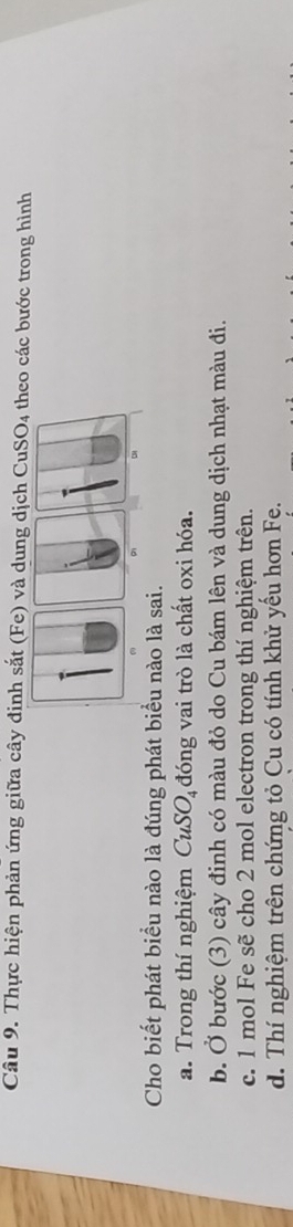 Thực hiện phản ứng giữa cây đinh sắt (Fe) và dung dịch CuSO4 theo các bước trong hình

Cho biết phát biểu nào là đúng phát biểu nào là sai.
a. Trong thí nghiệm CuSO_4 đóng vai trò là chất oxi hóa.
b. Ở bước (3) cây đinh có màu đỏ do Cu bám lên và dung dịch nhạt màu đi.
c. 1 mol Fe sẽ cho 2 mol electron trong thí nghiệm trên.
d. Thí nghiệm trên chứng tỏ Cu có tính khử yếu hơn Fe.