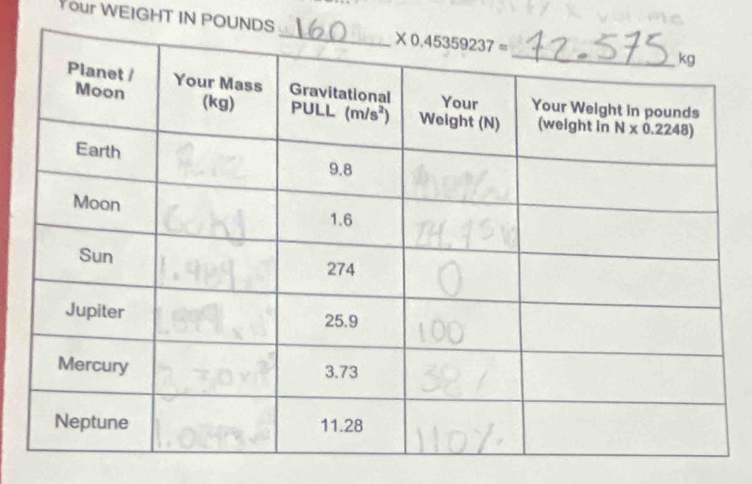 Your WEIGHT IN POUND