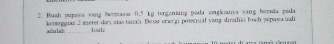 Buah pepaya yang bermassa 0.5 kg tergantung pada tangkainya yang berada pada 
ketinggian 2 meter dari atas tanah. Besar energi potensial yang dimiliki buah pepaya tadi 
adalah Joule