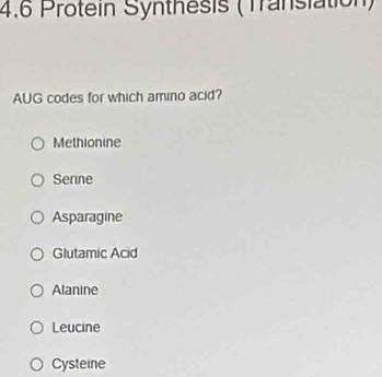 4.6 Protein Synthesis (Transiation)
AUG codes for which amino acid?
Methionine
Serine
Asparagine
Glutamic Acid
Alanine
Leucine
Cysteine