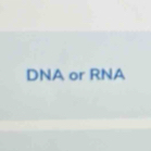 DNA or RNA