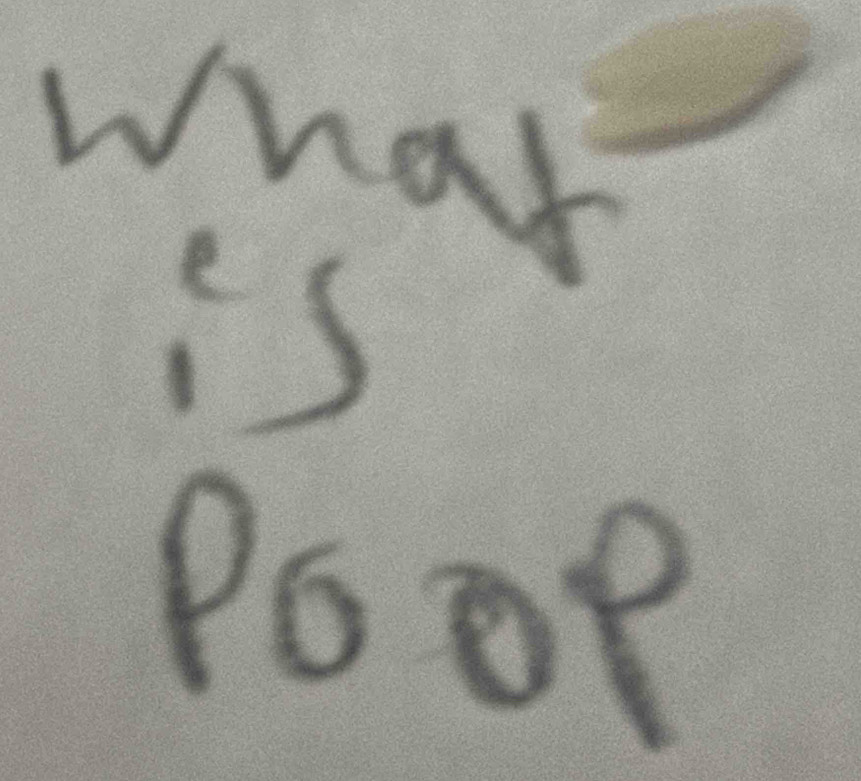 what 
is 
Poop