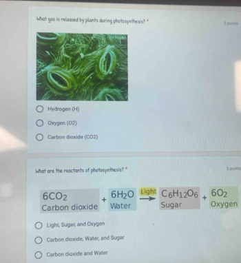 what gos is released by plants during photosynthesis?" 5 points
Hydrogen (H)
Oxygen (02)
Carbon dioxide (CO2)
What are the reactants of photosynthesis? " 5 paints
6CO_2 +
Carbon dioxide beginarrayr 6H_2O Waterendarray Light C_6H_12O_6+6O_2
5 ugar oxy aer
Light, Sugar, and Oxygen
Carbon dioxide, Water, and Sugar
Carbon dioxide and Water