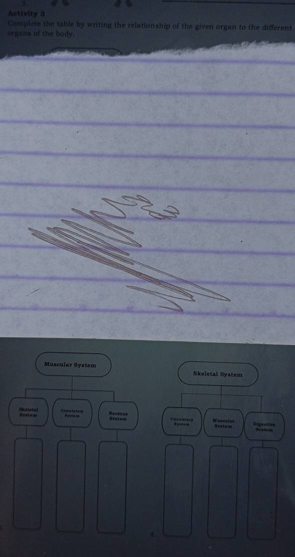 Activity 3 
Complete the table by writing the relationship of the given organ to the different 
organs of the body. 
Muscular System 
Skeletal System 
Skaletal Cloculetary Nervous Musculas 
Neatom Bystem Oystem Circulatory Digestive 
Myasem Gvatom t atem