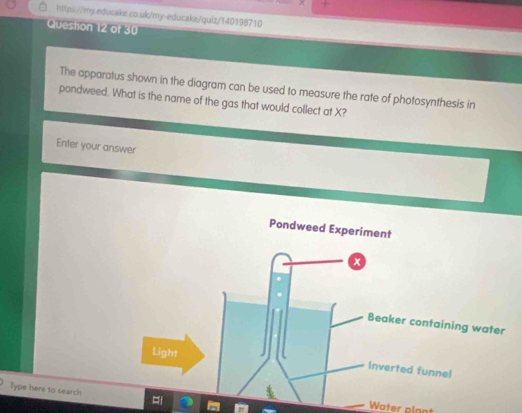 Queston 12 of 3 
The apparatus shown in the diagram can be used to measure the rate of photosynthesis in 
pondweed. What is the name of the gas that would collect at X? 
Enfer your answer 
Type here to search 
Water plant