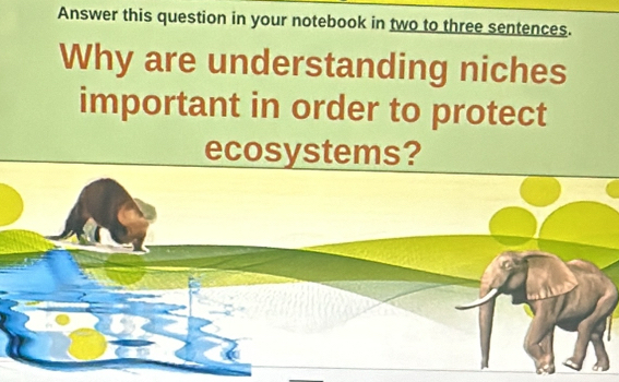 Answer this question in your notebook in two to three sentences. 
Why are understanding niches 
important in order to protect 
ecosystems?