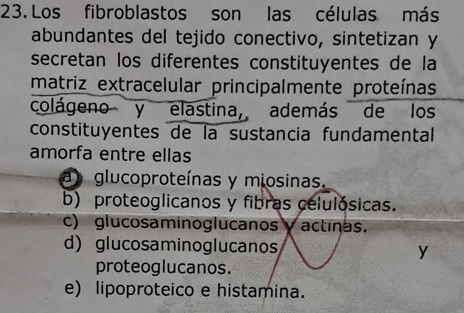 Los fibroblastos son las células más
abundantes del tejido conectivo, sintetizan y
secretan los diferentes constituyentes de la
matriz extracelular principalmente proteínas
colágeno y elastina, además de los
constituyentes de la sustancia fundamental
amorfa entre ellas
a) glucoproteínas y miosinas.
b) proteoglicanos y fibras celulósicas.
c) glucosaminoglucanosy actinas.
d) glucosaminoglucanos
y
proteoglucanos.
e) lipoproteico e histamina.