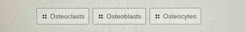 Osteoclasts Osteoblasts Osteocytes