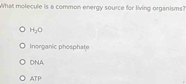 What molecule is a common energy source for living organisms?
H_2O
Inorganic phosphate
DNA
ATP