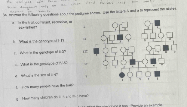 Answer the following questions about the pedigree shown. Use the letters A and a to represent the alleles. 
a. Is the trait dominant, recessive, or 
sex-linked? 
b. What is the genotype of I- 1? 
c. What is the genotype of II- 3? 
d. What is the genotype of IV -5? 
e. What is the sex of II- 4? 
f. How many people have the trait? 
g. How many children do III- 4 and III- 5 have? 
th e n oty n e it has Provide an example