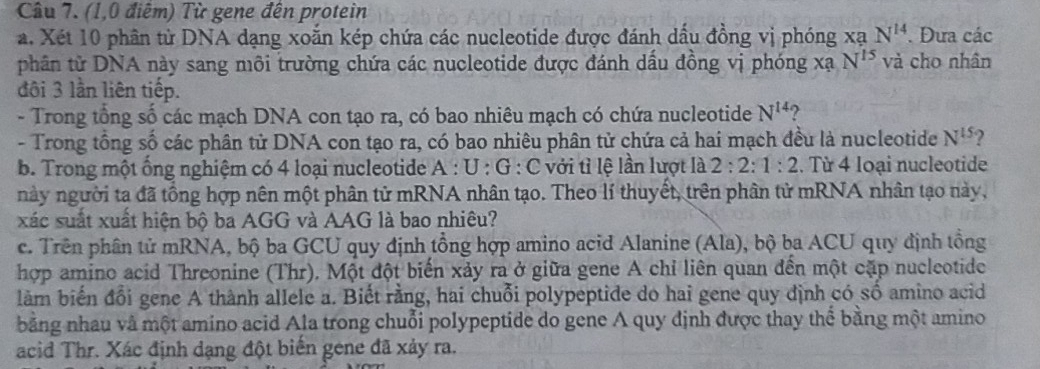 âu 7. (1,0 điểm) Từ gene đến protein 
a. Xét 10 phân từ DNA dạng xoắn kép chứa các nucleotide được đánh dấu đồng vị phóng xạ N^(14). Đưa các 
phân tử DNA này sang môi trường chứa các nucleotide được đánh dầu đồng vị phóng xạ N^(15) và cho nhân 
đội 3 lần liên tiếp. 
- Trong tổng số các mạch DNA con tạo ra, có bao nhiêu mạch có chứa nucleotide N^(14) 2 
- Trong tổng số các phân tử DNA con tạo ra, có bao nhiêu phân tử chứa cả hai mạch đều là nucleotide N^(15) ) 
b. Trong một ổng nghiệm có 4 loại nucleotide A:U:G:C với tì lệ lần lượt là 2:2:1:2. Từ 4 loại nucleotide 
này người ta đã tổng hợp nên một phân tử mRNA nhân tạo. Theo lí thuyết, trên phân tử mRNA nhân tạo này, 
xác suất xuất hiện bộ ba AGG và AAG là bao nhiêu? 
c. Trên phân tử mRNA, bộ ba GCU quy định tổng hợp amino acid Alanine (Ala), bộ ba ACU quy định tổng 
hợp amino acid Threonine (Thr). Một đột biến xảy ra ở giữa gene A chỉ liên quan đến một cặp nucleotide 
làm biến đổi gene A thành allele a. Biết rằng, hai chuỗi polypeptide do hai gene quy định có số amino acid 
băng nhau và một amino acid Ala trong chuỗi polypeptide do gene A quy định được thay thể bằng một amino 
acid Thr. Xác định dạng đột biển gene đã xảy ra.