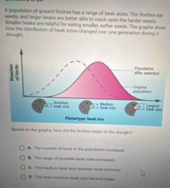Solved: A population of ground finches has a range of beak sizes. The ...