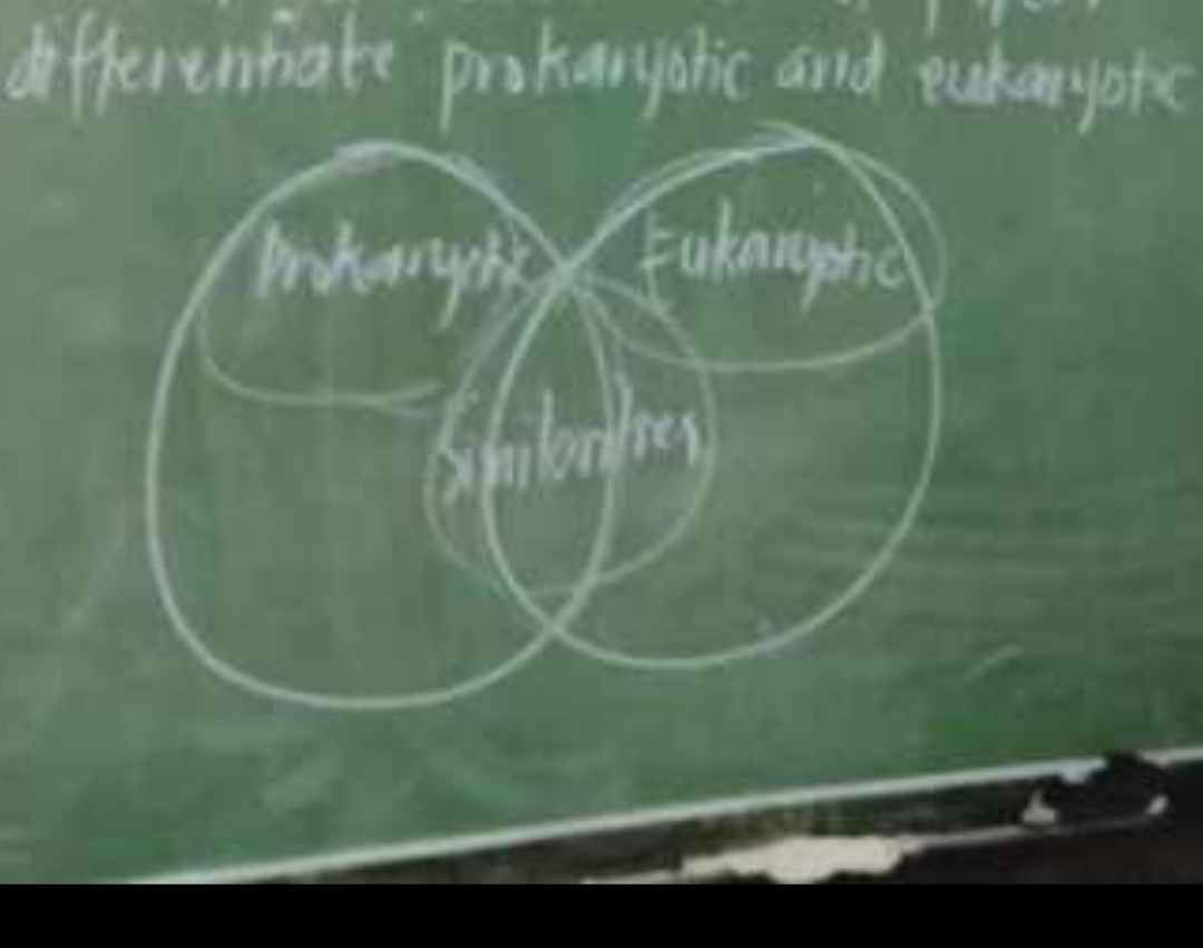 differentate prokaryalic and eukanyate