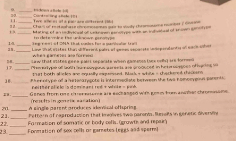 Hidden allele (d) 
10._ Controlling allele (D) 
11. Two alleles of a pair are different (Bb) 
12. _Chart of metaphase chromosomes pair to study chromosome number / disease 
13. __Mating of an individual of unknown genotype with an individual of known genotype 
to determine the unknown genotype . 
14. _Segment of DNA that codes for a particular trait 
15. _Law that states that different pairs of genes separate independently of each other 
when gametes are formed 
_ 
16. Law that states gene pairs separate when gametes (sex cells) are formed 
17._ Phenotype of both homozygous parents are produced in heterozygous offspring so 
that both alleles are equally expressed. Black + white = checkered chickens 
18._ Phenotype of a heterozygote is intermediate between the two homozygous parents: 
neither allele is dominant red + white = pink 
19. _Genes from one chromosome are exchanged with genes from another chromosome. 
(results in genetic variation) 
20._ A single parent produces identical offspring. 
21._ Pattern of reproduction that involves two parents. Results in genetic diversity 
22._ Formation of somatic or body cells. (growth and repair) 
23. _Formation of sex cells or gametes (eggs and sperm)