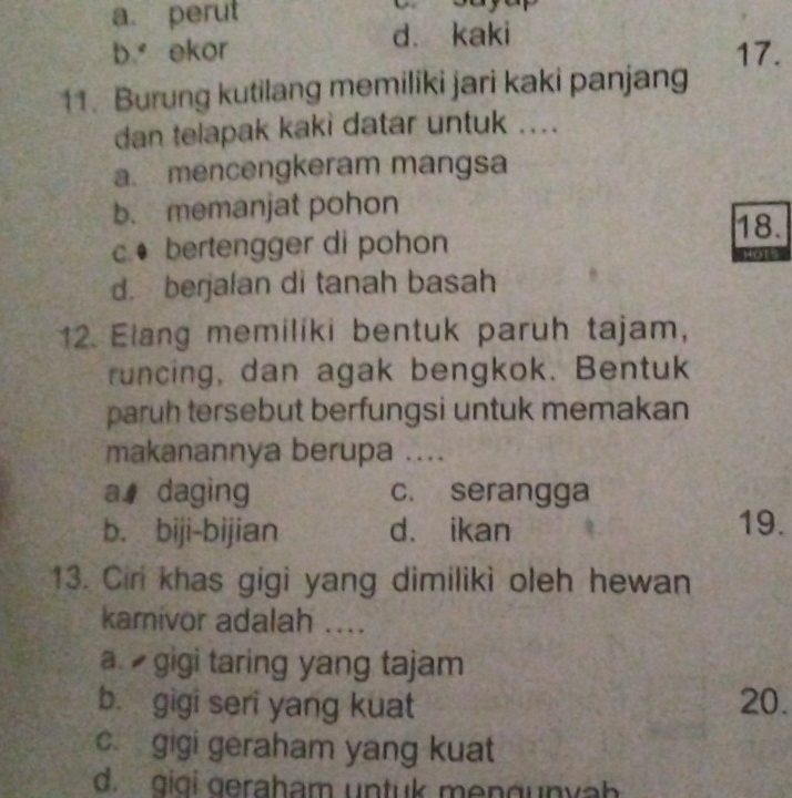 a. perut
d. kaki
b. ekor 17.
11. Burung kutilang memiliki jari kaki panjang
dan telapak kaki datar untuk ....
a. mencengkeram mangsa
b. memanjat pohon
18.
c bertengger di pohon
d. berjalan di tanah basah
12. Elang memiliki bentuk paruh tajam,
runcing, dan agak bengkok. Bentuk
paruh tersebut berfungsi untuk memakan
makanannya berupa ....
a daging c. serangga
b. biji-bijian d、 ikan
19.
13. Ciri khas gigi yang dimiliki oleh hewan
karnivor adalah ....
a. gigi taring yang tajam
b gigi seri yang kuat 20.
c. gigi geraham yang kuat
d. gigi geraham untuk mengunyah