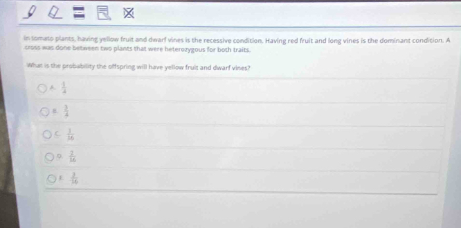 in tomato plants, having yellow fruit and dwarf vines is the recessive condition. Having red fruit and long vines is the dominant condition. A
cross was done between two plants that were heterozygous for both traits.
What is the probability the offspring will have yellow fruit and dwarf vines?
A  1/4 
B.  3/4 
C  1/16 
0.  2/16 
E  3/16 