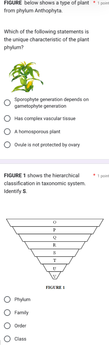 FIGURE below shows a type of plant * 1 point
from phylum Anthophyta.
Which of the following statements is
the unique characteristic of the plant
phylum?
Sporophyte generation depends on
gametophyte generation
Has complex vascular tissue
A homosporous plant
Ovule is not protected by ovary
FIGURE 1 shows the hierarchical 1 poin
classification in taxonomic system.
Identify S.
Phylum
Family
Order
Class