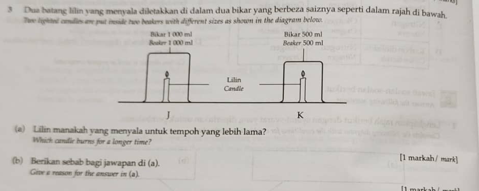 Dua batang lilin yang menyala diletakkan di dalam dua bikar yang berbeza saiznya seperti dalam rajah di bawah. 
Two lighted candles are put inside two beakers with different sizes as shown in the diagram below. 
(a) Lilin manakah yang menyala untuk tempoh yang lebih lama? 
Which candle burns for a longer time? 
(b) Berikan sebab bagi jawapan di (a). 
[1 markah / mark] 
Give a reason for the answer in (a).