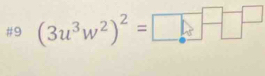 #9 (3u^3w^2)^2=□ -□