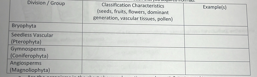 Division / Group