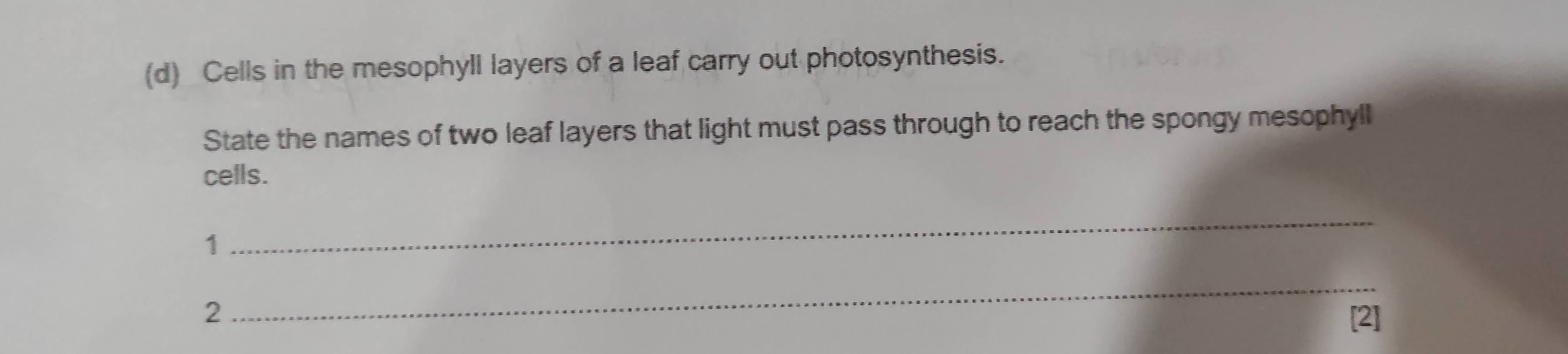 Cells in the mesophyll layers of a leaf carry out photosynthesis. 
State the names of two leaf layers that light must pass through to reach the spongy mesophyll 
cells. 
1 
_ 
_ 
2 [2]