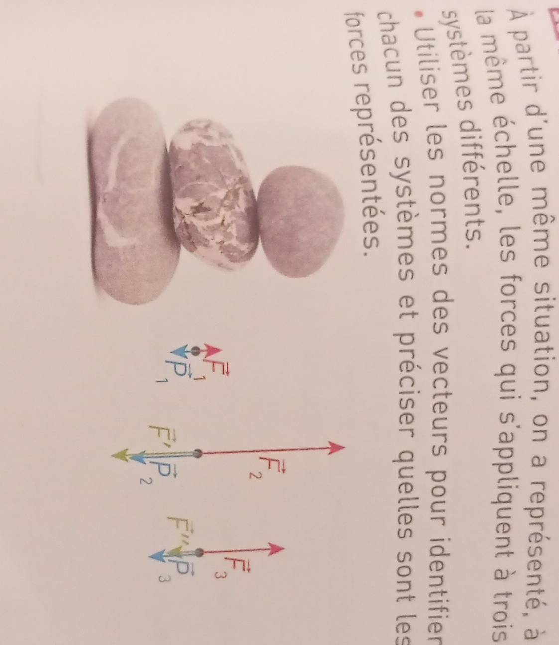 À partir d'une même situation, on a représenté, à 
la même échelle, les forces qui s'appliquent à trois 
systèmes différents. 
* Utiliser les normes des vecteurs pour identifier 
chacun des systèmes et préciser quelles sont les 
forces représentées.
vector F_2
vector F
vector F_3
P_1 vector F' vector P_2
vector F'' sqrt(P_3)