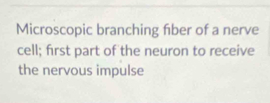 Microscopic branching fiber of a nerve 
cell; first part of the neuron to receive 
the nervous impulse