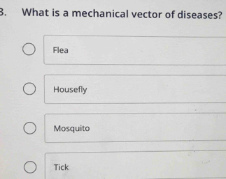 What is a mechanical vector of diseases?
Flea
Housefly
Mosquito
Tick