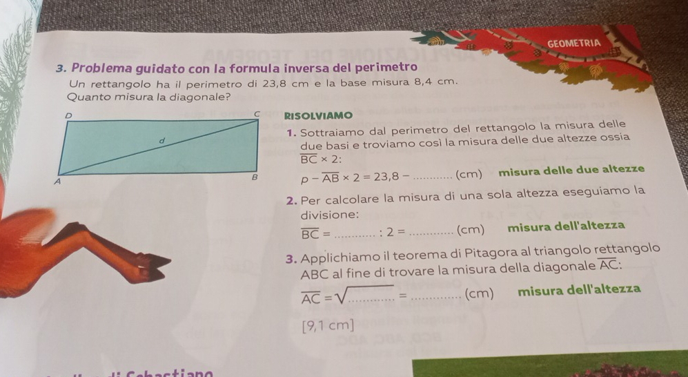 Risolto:GEOMETRIA 3. Problema guidato con la formula inversa del ...