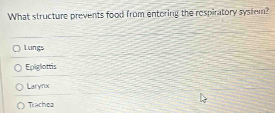 What structure prevents food from entering the respiratory system?
Lungs
Epiglottis
Larynx
Trachea