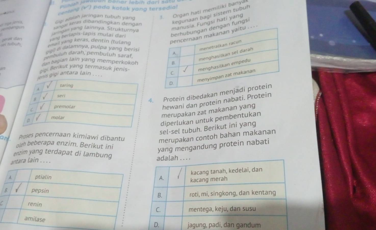 Piih l h jawaban benar le bih dari sat 
centang (√) pada kotak yong tersedia! 
oi rga jonis 
Gigi adalah jaringan tubuh yang 3. Organ hati memiliki banya 
kegunaan bagi sistem tubuh 
cembangun 
sangat keras dibandingkan dengan 
gan fungsi 
aringan ang lainnya. Strukturnya 
sia. Fungsi hati yang 
gerak dān vang berlapis-lapis mulai dari 
si tubuh, email yang keras, dentin (tulang 
. . . . 
gigi) di dalamnya, pulpa yang berisi 
pembuluh darah, pembuluh saraf, 
dan bagian lain yang memperkokoh 
an gigi. Berikut yang termasuk jenis- 
gigi antara lain . . . . 
4. Protein dibedakan men 
hewani dan protein nabati. Protein 
merupakan zat makanan yang 
diperlukan untuk pembentukan 
sel-sel tubuh. Berikut ini yang 
an Proses pencernaan kimiawi dibantu 
merupakan contoh bahan makanan 
oleh beberapa enzim. Berikut ini 
yang mengandung protein nabati 
enzim yang terdapat di lambung 
antara lain . . . . 
C