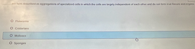 are best described as aggregations of specialized cells in which the cells are largely independent of each other and do not form true tissues and organs
Flatworms
Cnidarians
Molluscs
Sponges