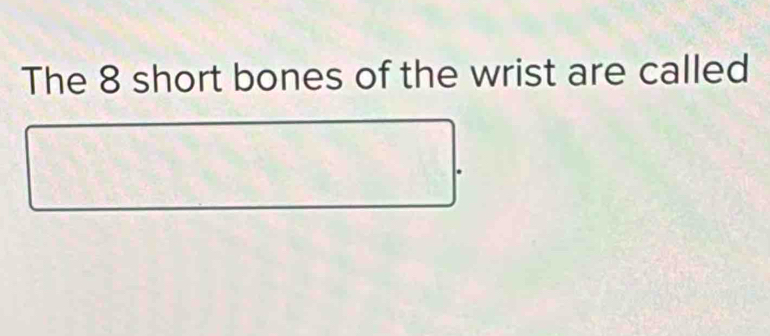 The 8 short bones of the wrist are called