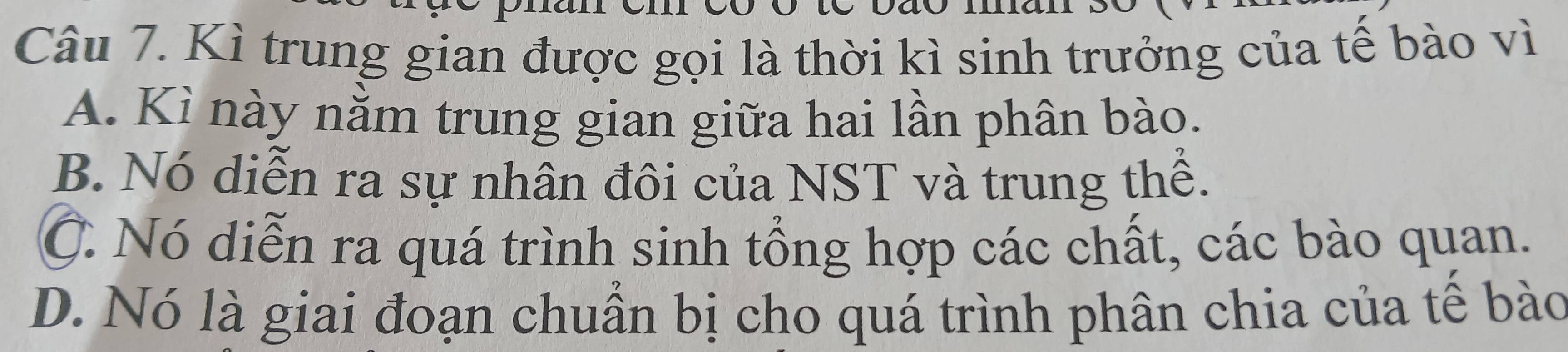 Kì trung gian được gọi là thời kì sinh trưởng của tế bào vì
A. Kì này nằm trung gian giữa hai lần phân bào.
B. Nó diễn ra sự nhân đôi của NST và trung thể.
C. Nó diễn ra quá trình sinh tổng hợp các chất, các bào quan.
D. Nó là giai đoạn chuần bị cho quá trình phân chia của tế bào