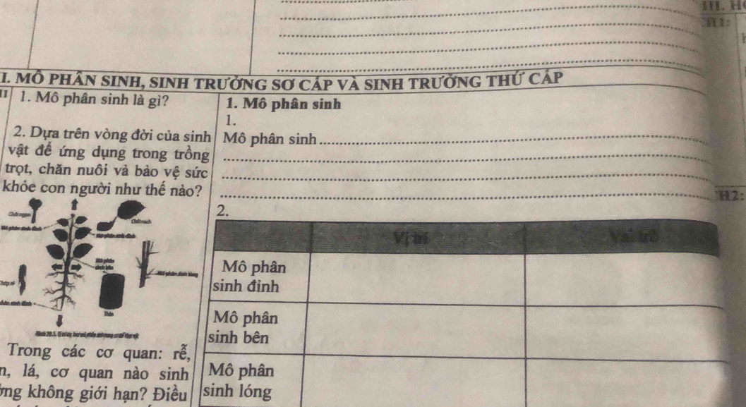 1: 
_ 
_ 
1. Mỗ PHầN SINH, sINH tRưởnG Sơ Cáp và sINH tRưởnG thứ cảp 
1. Mô phân sinh là gì? 1. Mô phân sinh 
1. 
2. Dựa trên vòng đời của sinh Mô phân sinh_ 
vật để ứng dụng trong trồng_ 
trọt, chăn nuôi và bảo vệ sức_ 
khỏe con người như thế nào? _H2: 
Trong các cơ quan: 
n, lá, cơ quan nào s 
ởng không giới hạn? Đ