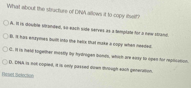 What about the structure of DNA allows it to copy itself?
A. It is double stranded, so each side serves as a template for a new strand.
B. It has enzymes built into the helix that make a copy when needed.
C. It is held together mostly by hydrogen bonds, which are easy to open for replication.
D. DNA is not copied, it is only passed down through each generation.
Reset Selection