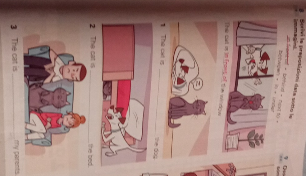 Scrivi le preposizioni date sotto le 
immagini. 
9 Os 
in frant of * behind = n
900
between * in + under 
The cat is in fromt of the window 
_ 
the dog. 
2 The cat is _the bed. 
3 The cat is _my parents.