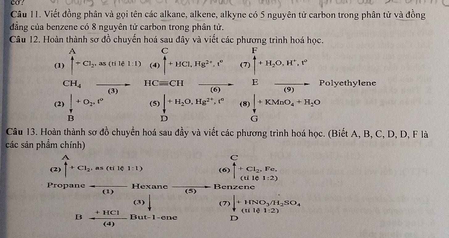 co! 
Câu 11. Viết đồng phân và gọi tên các alkane, alkene, alkyne có 5 nguyên tử carbon trong phân tử và đồng 
đẳng của benzene có 8 nguyên tử carbon trong phân tử. 
Câu 12. Hoàn thành sơ đồ chuyến hoá sau đây và viết các phương trình hoá học. 
(1) beginarrayr A |+Cl_2, as(tile1:1)endarray (4) beginarrayr C |+HC|, Hg^(2+), r°endarray (7) ∈tlimits _1^(F+H_2)O, H^+, t°
E frac (9) Polyethylene
CH_4to HCequiv CH (6) 

(2)  ∈t /B +O_2, t^0 (5) downarrow +H_2O, Hg^(2+), t° (8) ∈tlimits _G^(+KMnO_4)+H_2O
D 
Câu 13. Hoàn thành sơ đồ chuyển hoá sau đầy và viết các phương trình hoá học. (Biết A, B, C, D, D, F là 
các sản phầm chính) 
(2) uparrow +Cl_2, as(tile1:1) (6) beginarrayr C 4+Cl_2, Fe. (1if1:2)endarray
Propan efrac (1) Hexane Benzenc 
(5) 
(3) (7) downarrow +HNO_3/H_2SO_4
B- (+HCl)/(4)  But-1-ene