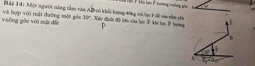 lc  F khi lực vector F hướng vuông góc A 30°
lurc
Bài 14: Một người nâng tấm ván AB có khối lượng 40kg với lực F đề ván nằm yên
và hợp với mặt đường một góc 30° * Xác định độ lớn của lực
vuông góc với mặt đất vector F khi lực vector F hướng