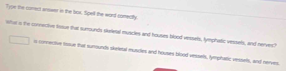 Type the correct answer in the box. Spell the word correctly. 
What is the connective tissue that surrounds skeletal muscles and houses blood vessels, lymphatic vessels, and nerves?
□° is connective tissue that surounds skeletal muscles and houses blood vessels, lymphatic vessels, and nerves.