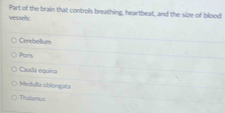 Part of the brain that controls breathing, heartbeat, and the size of blood
vessels:
Cerebellum
Pons
Cauda equina
Medulla oblongata
Thalamus