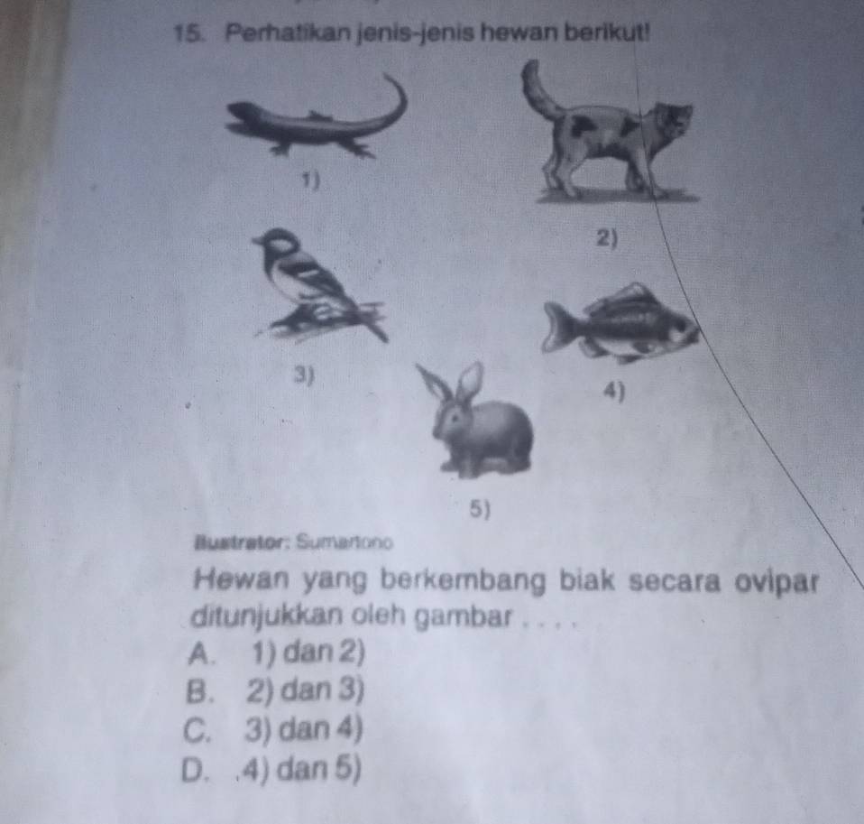 Solved: Perhatikan jenis-jenis hewan berikut! Bustrator: Sumartono ...