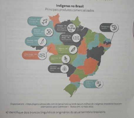 Indígenas no Brasil 
Principais produtos comercializados 
Disponível em: < 
alternativas-para-sobreviver>. Acesso em: 15 maio 2023. 
a) Identifique dois troncos linguísticos originários do atual território brasileiro.