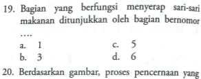 Bagian yang berfungsi menyerap sari-sari
makanan ditunjukkan oleh bagian bernomor
…
a. 1 c. 5
b. 3 d. 6
20. Berdasarkan gambar, proses pencernaan yang