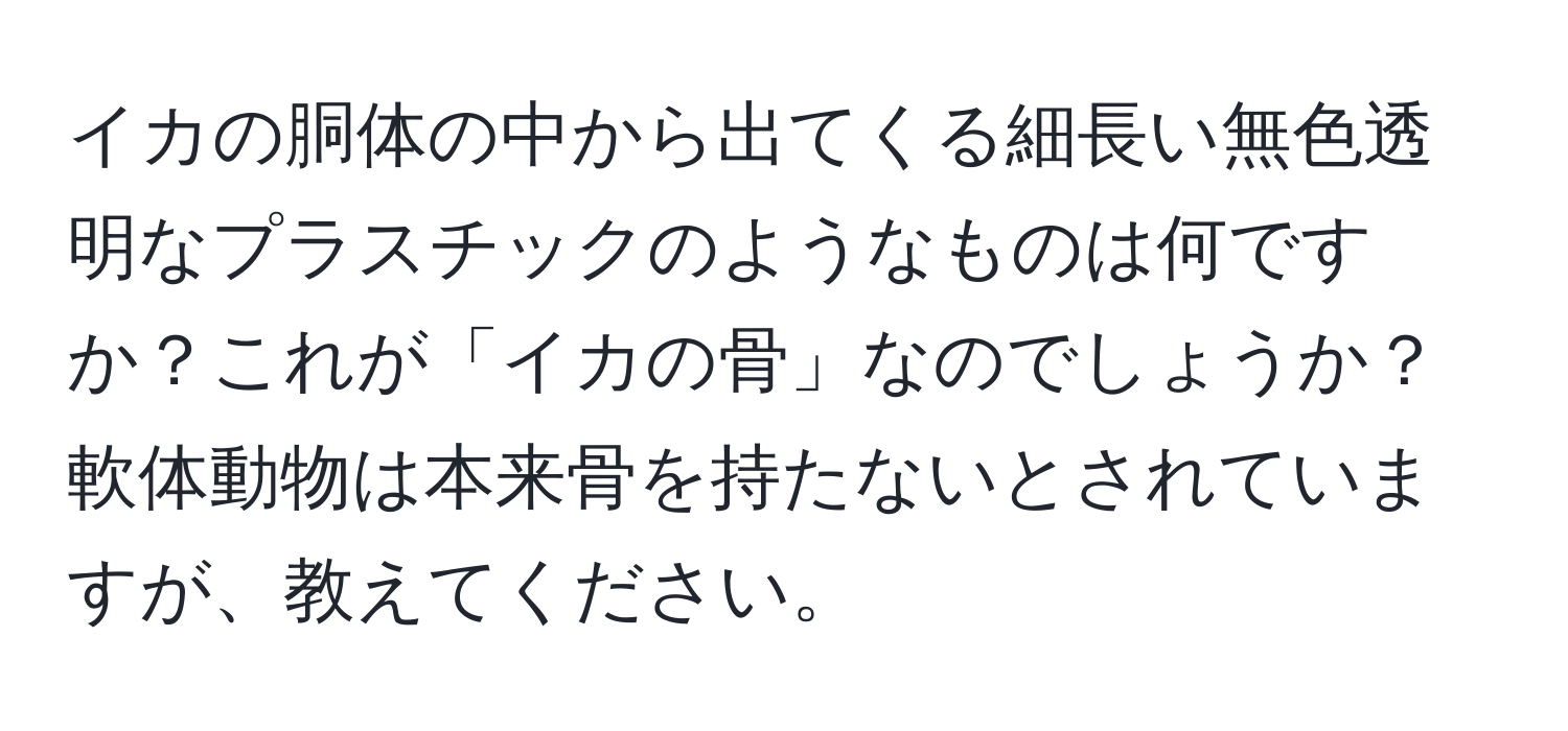 イカの胴体の中から出てくる細長い無色透明なプラスチックのようなものは何ですか？これが「イカの骨」なのでしょうか？軟体動物は本来骨を持たないとされていますが、教えてください。